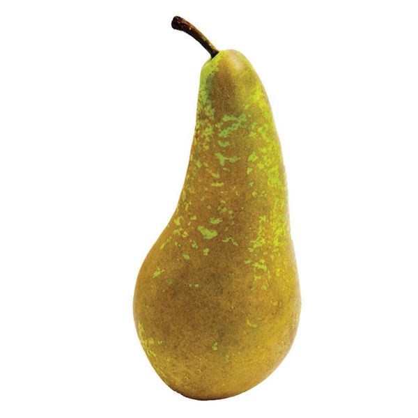 Peren conference per stuk